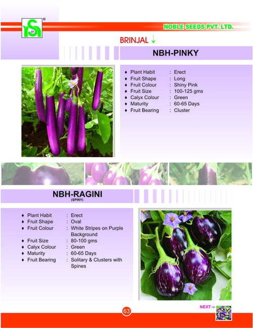 BRINJAL