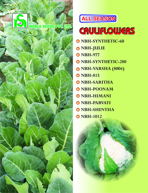 Cauliflower Seeds