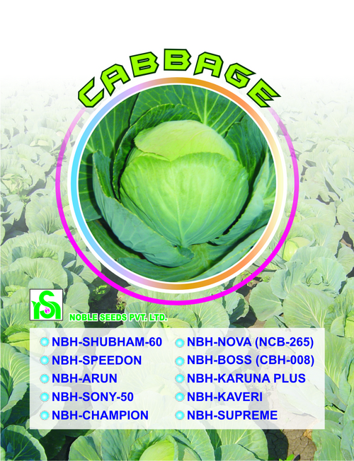 Cabbage Seeds
