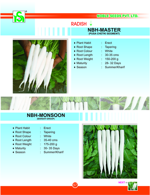 Radish Seed