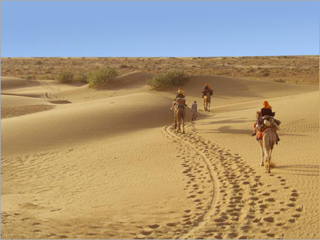 Desert Safari