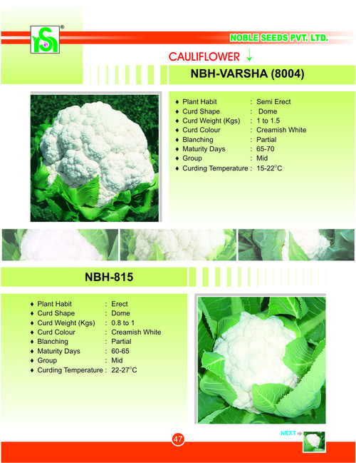 CAULIFLOWER