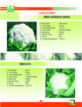 CAULIFLOWER