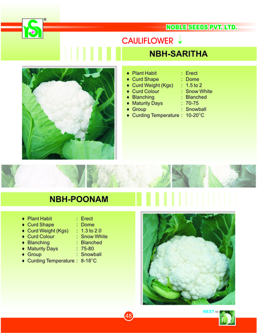 CAULIFLOWER