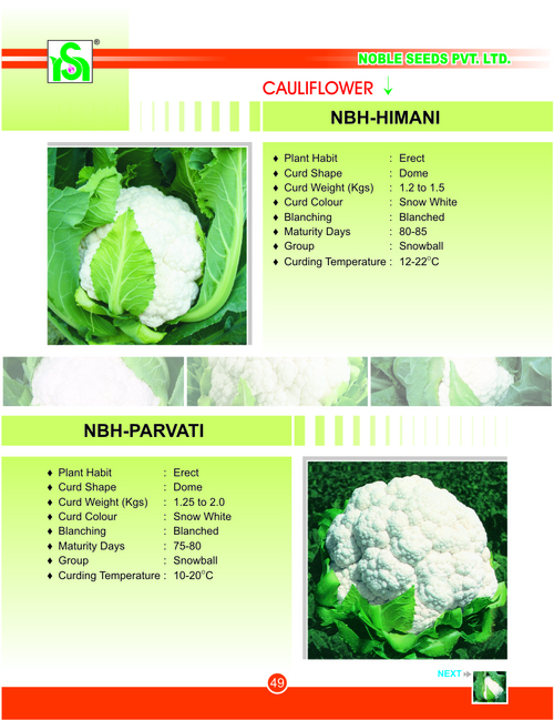 CAULIFLOWER