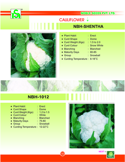 CAULIFLOWER