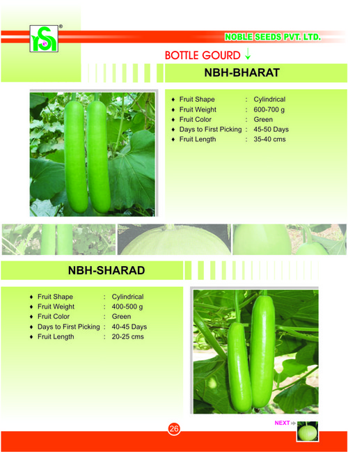 Green Bottle Gourd Seeds