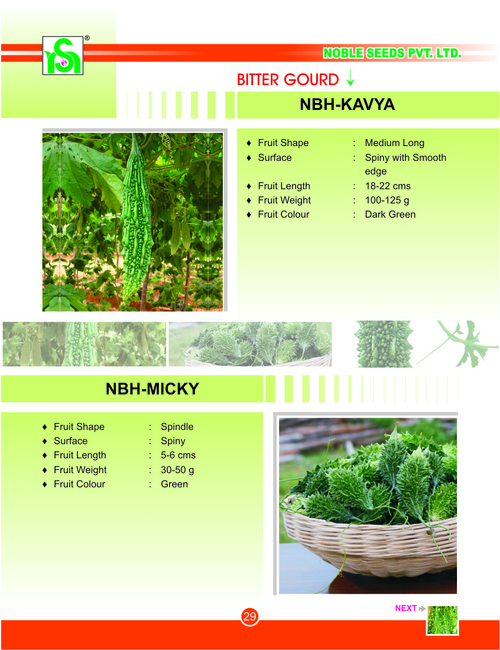 BITTER GOURD