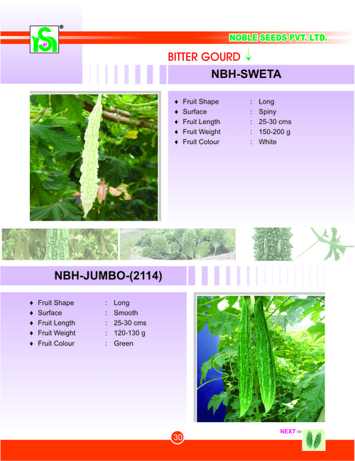 BITTER GOURD