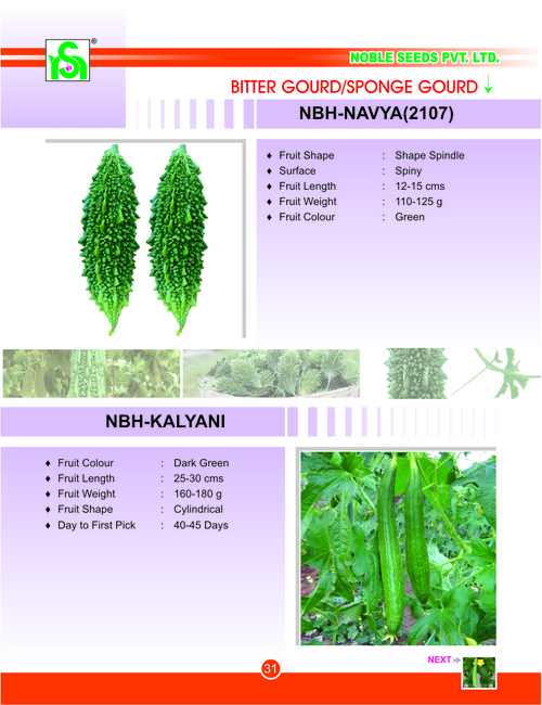 BITTER GOURD / SPONGE GOURD