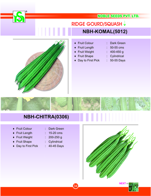 RIDGE GOURD / SQUASH
