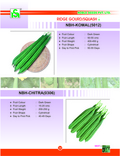 RIDGE GOURD / SQUASH
