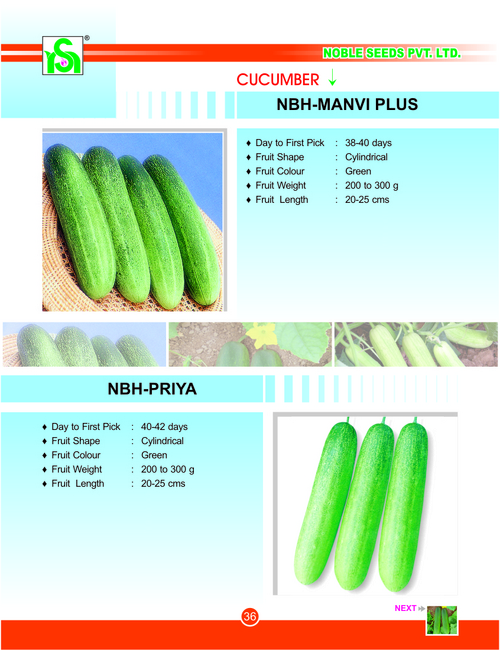 Cucurbits