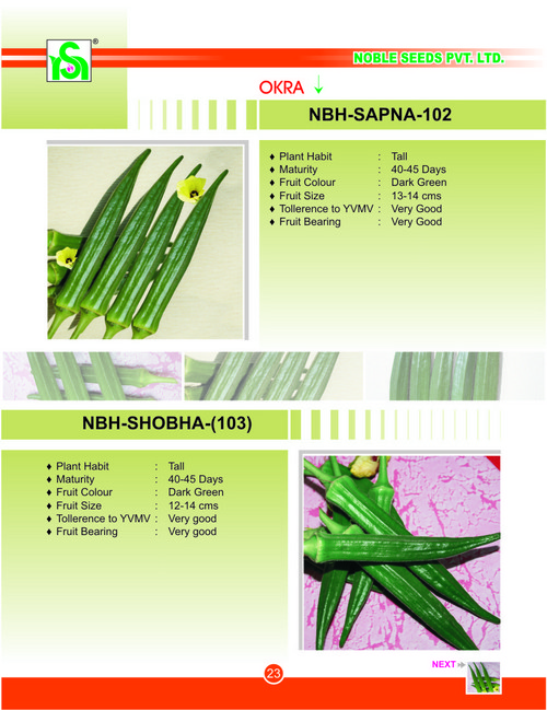 Rapid Growth Okra Seeds