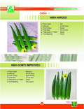 Okra Seed