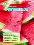 Hybrid Watermelon Seeds