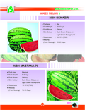 Water Melon Seed Kernal