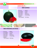 Water Melon Seeds