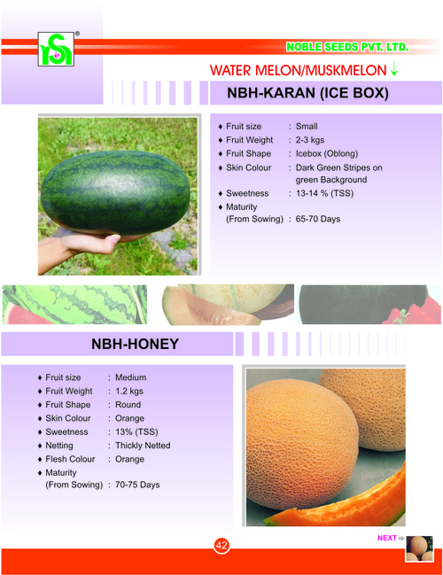 Water Melon Seed