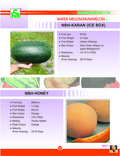 Water Melon Seed