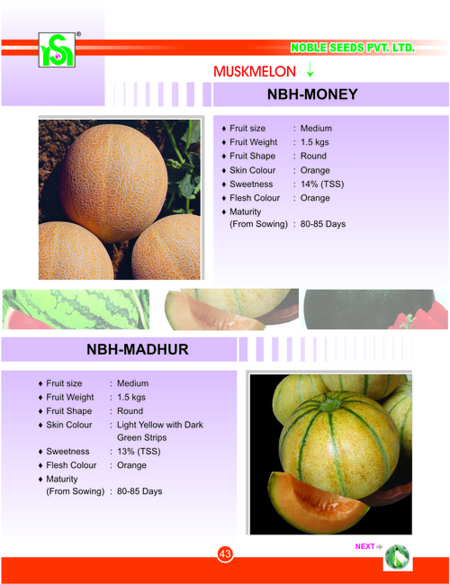 MUSKMELON