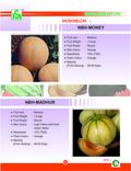 MUSKMELON