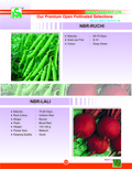 Beet Root Seeds