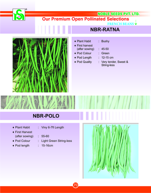 French Bean Seed