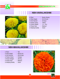 Flower Seeds
