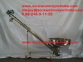 Manufacturer of Screw Conveyor for Pineapple Milkshake Powder