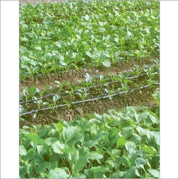 Drip Irrigation System