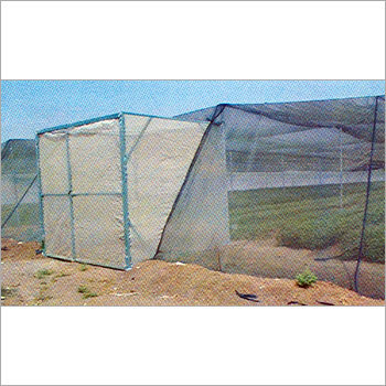 Greenhouse Natural Ventilation