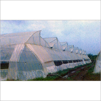 Greenhouse Film