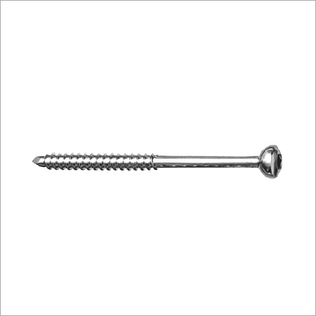 Malleolar Screw
