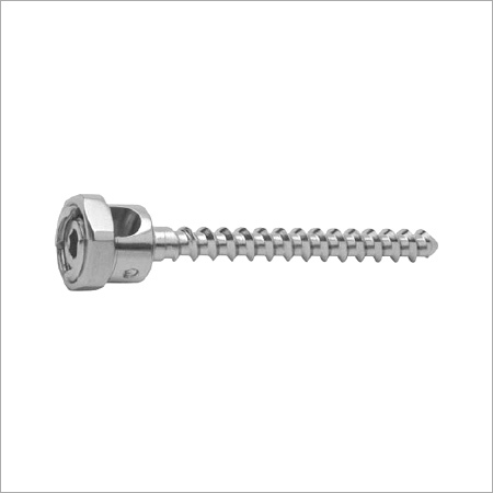Monoaxial Screw