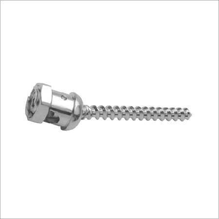 Polyaxial Single Lock Screw