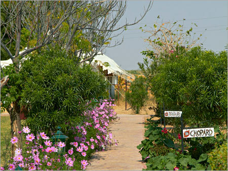 Resort Outdoor Garden