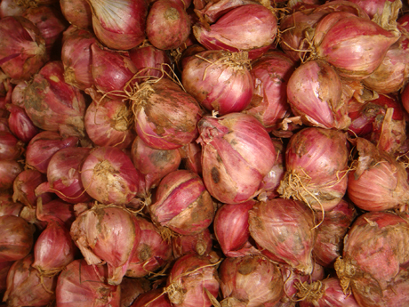 Onions