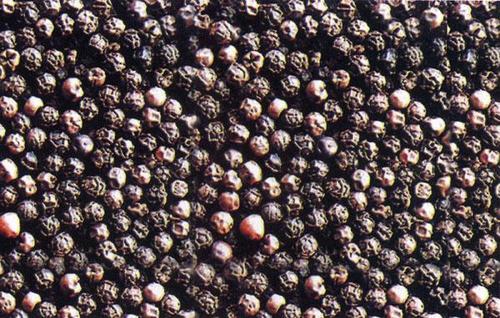 Black Pepper