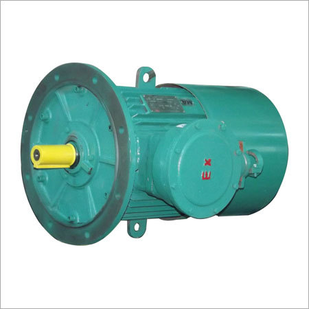 High Voltage Induction Motors