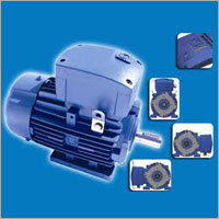 Standard Electric Motor