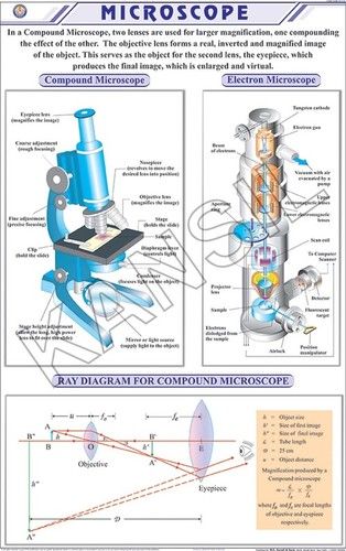 Microscope Chart Dimensions: 58 A 90 Centimeter (Cm)