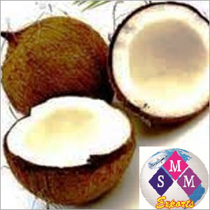 Coconut