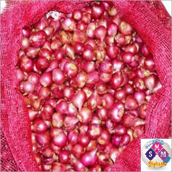 Onion