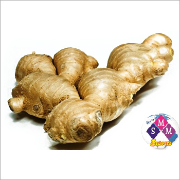 Ginger