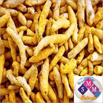 Turmeric