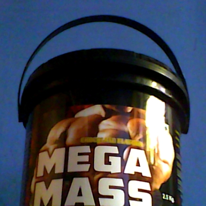 Whey Protein