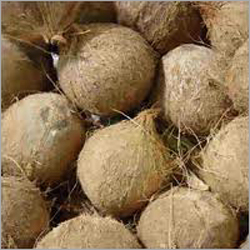 Indian Raw Coconut