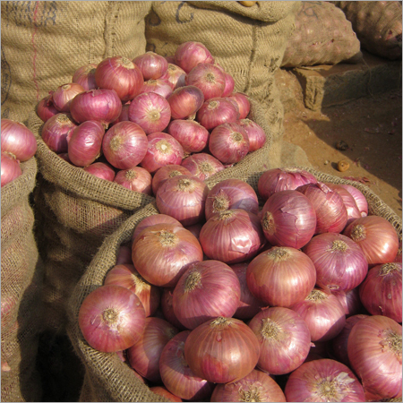 Red Sweet Onion