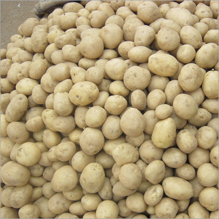 Fresh Potato